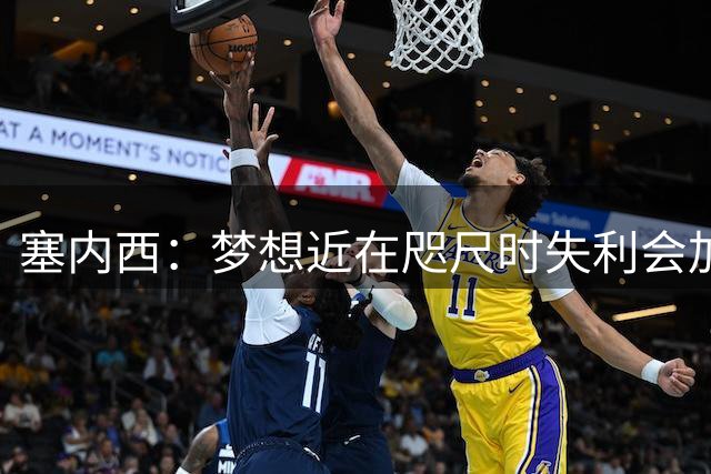 塞内西：梦想近在咫尺时失利会加倍刺痛，我们会重新站起来