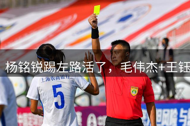 杨铭锐踢左路活了，毛伟杰+王钰栋国足未来双雄，大连3将身背3黄