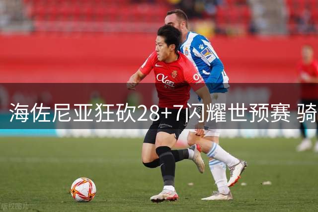 海佐尼亚狂砍28+7闪耀世预赛 骑士新援被赞物超所值