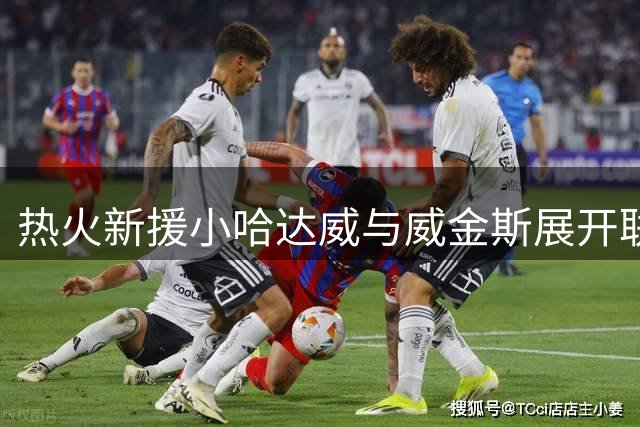 热火新援小哈达威与威金斯展开联合训练