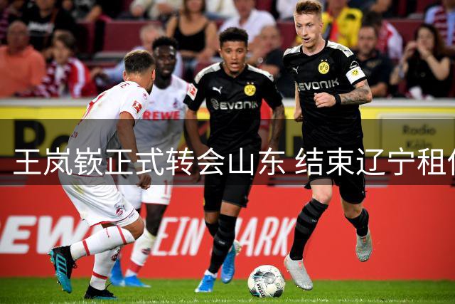 王岚嵚正式转会山东 结束辽宁租借生涯